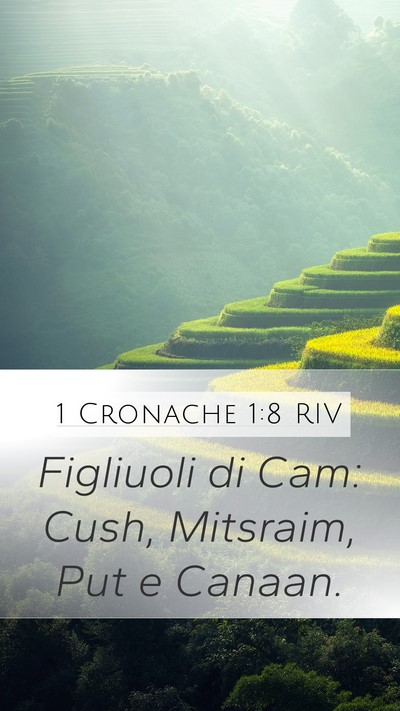 1 Cronache 1:8 RIV Bible Verse Image