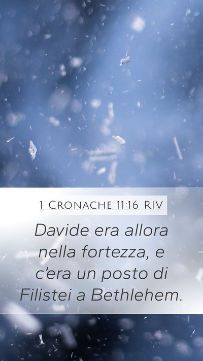 1 Cronache 11:16 RIV Bible Verse Image