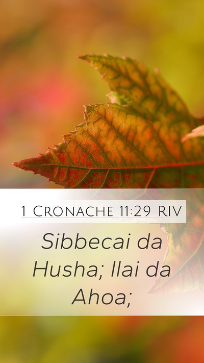 1 Cronache 11:29 RIV Bible Verse Image