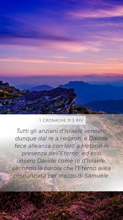 1 Cronache 11:3 RIV Bible Verse Image