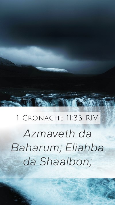 1 Cronache 11:33 RIV Bible Verse Image