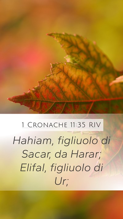 1 Cronache 11:35 RIV Bible Verse Image