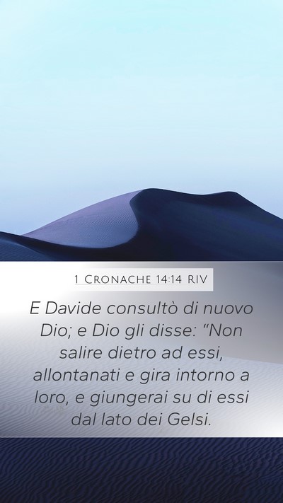 1 Cronache 14:14 RIV Bible Verse Image