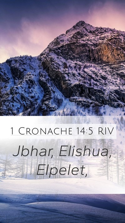 1 Cronache 14:5 RIV Bible Verse Image