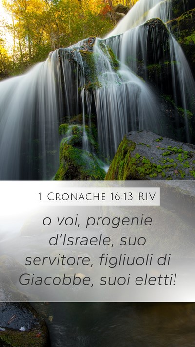 1 Cronache 16:13 RIV Mobile Phone Wallpaper - o voi, progenie d’Israele, suo servitore, - Mobile Bible Verse Wallpaper