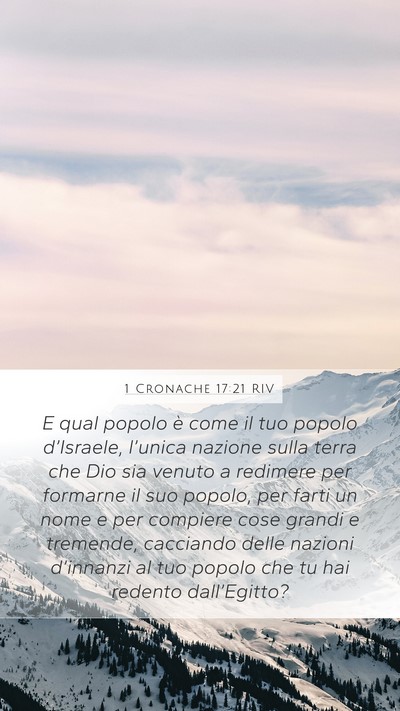 1 Cronache 17:21 RIV Bible Verse Image