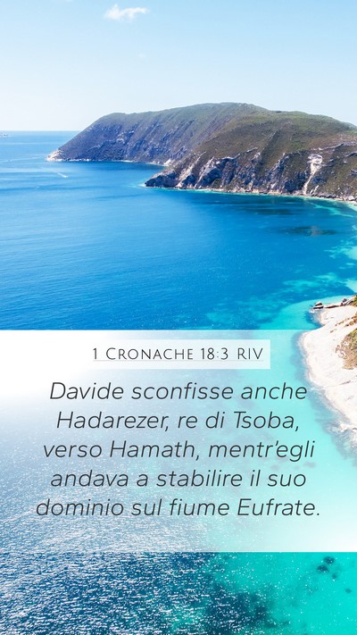 1 Cronache 18:3 RIV Bible Verse Image