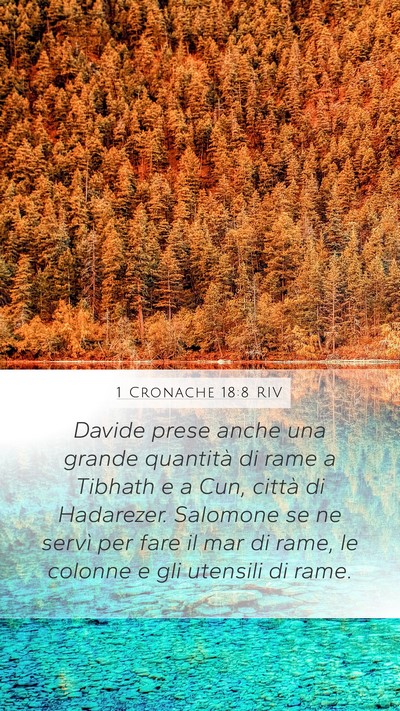 1 Cronache 18:8 RIV Bible Verse Image