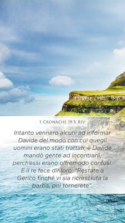 1 Cronache 19:5 RIV Bible Verse Image