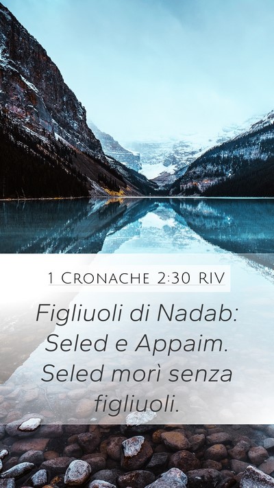 1 Cronache 2:30 RIV Mobile Phone Wallpaper - Figliuoli di Nadab: Seled e Appaim. Seled morì - Mobile Bible Verse Wallpaper