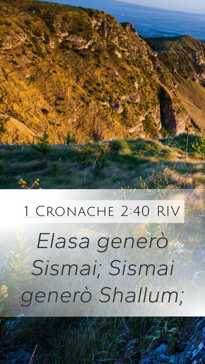 1 Cronache 2:40 RIV Mobile Phone Wallpaper - Elasa generò Sismai; Sismai generò - Mobile Bible Verse Wallpaper