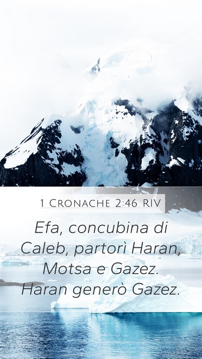 1 Cronache 2:46 RIV Bible Verse Image