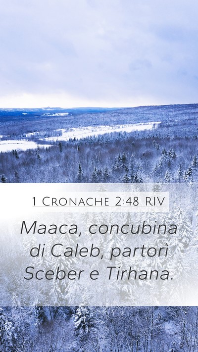 1 Cronache 2:48 RIV Mobile Phone Wallpaper - Maaca, concubina di Caleb, partorì Sceber e - Mobile Bible Verse Wallpaper
