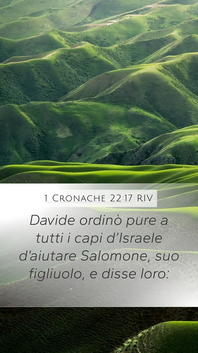 1 Cronache 22:17 RIV Bible Verse Image