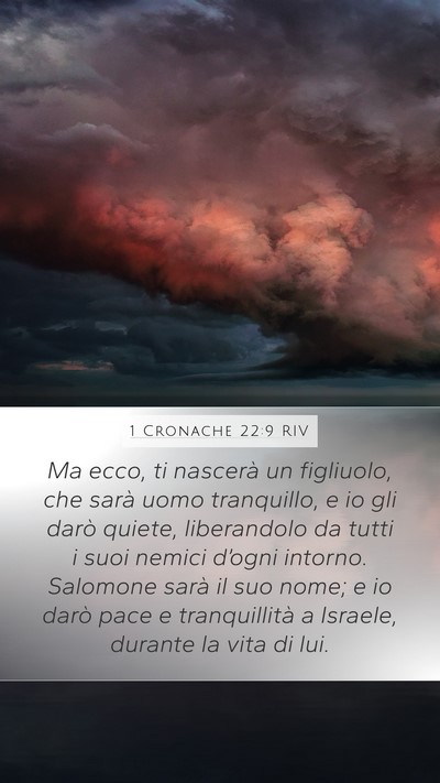 1 Cronache 22:9 RIV Bible Verse Image