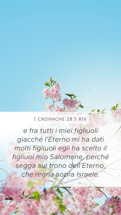 1 Cronache 28:5 RIV Bible Verse Image