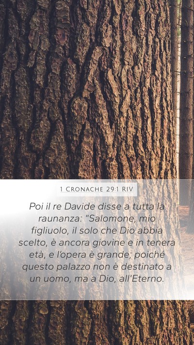 1 Cronache 29:1 RIV Bible Verse Image