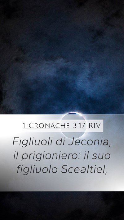 1 Cronache 3:17 RIV Bible Verse Image