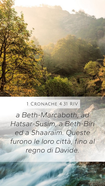 1 Cronache 4:31 RIV Bible Verse Image
