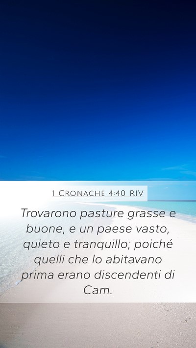 1 Cronache 4:40 RIV Bible Verse Image
