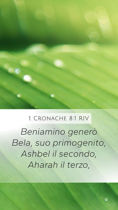 1 Cronache 8:1 RIV Bible Verse Image