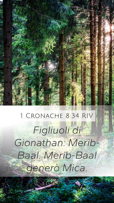 1 Cronache 8:34 RIV Bible Verse Image