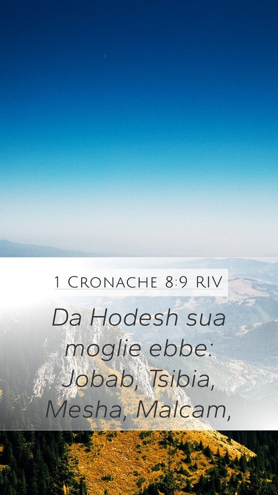 1 Cronache 8:9 RIV Mobile Phone Wallpaper - Da Hodesh sua moglie ebbe: Jobab, Tsibia, Mesha, - Mobile Bible Verse Wallpaper