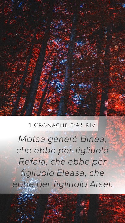 1 Cronache 9:43 RIV Mobile Phone Wallpaper - Motsa generò Binea, che ebbe per figliuolo - Mobile Bible Verse Wallpaper