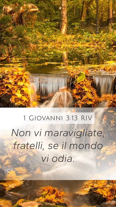 1 Giovanni 3:13 RIV Bible Verse Image
