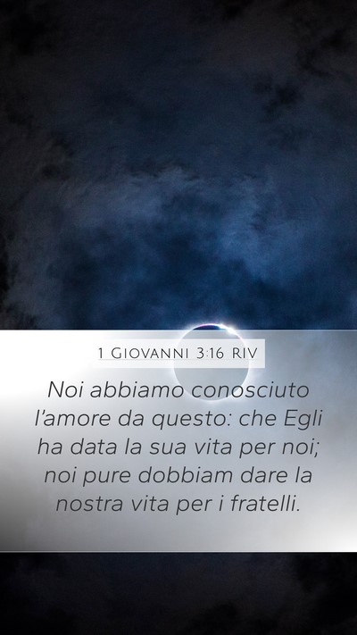 1 Giovanni 3:16 RIV Bible Verse Image