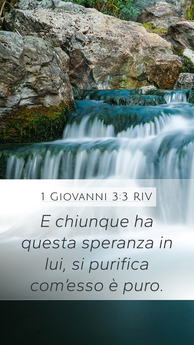 1 Giovanni 3:3 RIV Bible Verse Image