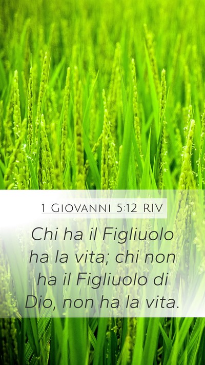 1 Giovanni 5:12 RIV Mobile Phone Wallpaper - Chi ha il Figliuolo ha la vita; chi non ha il - Mobile Bible Verse Wallpaper