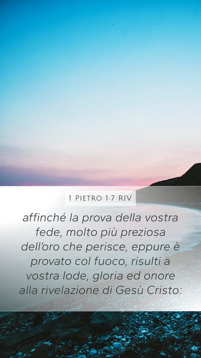 1 Pietro 1:7 RIV Bible Verse Image