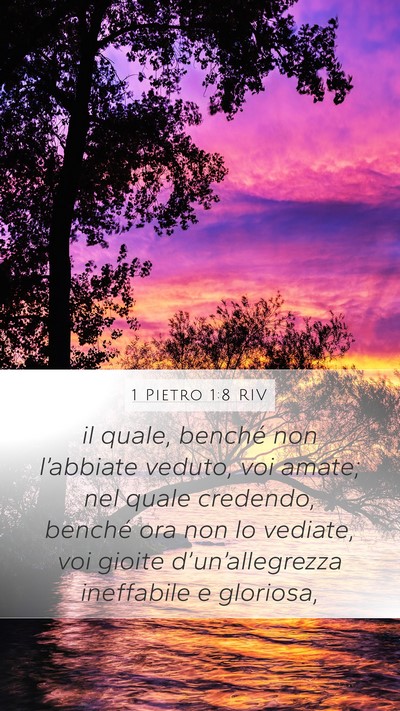1 Pietro 1:8 RIV Bible Verse Image