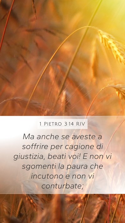 1 Pietro 3:14 RIV Bible Verse Image