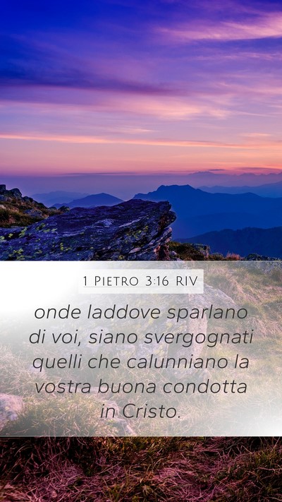 1 Pietro 3:16 RIV Bible Verse Image