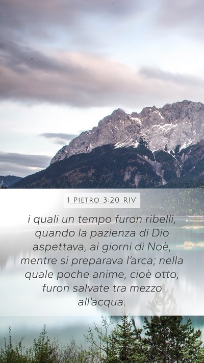1 Pietro 3:20 RIV Bible Verse Image