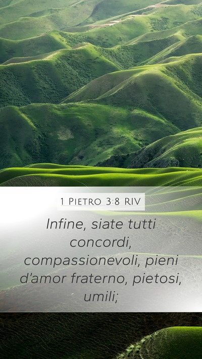 1 Pietro 3:8 RIV Bible Verse Image