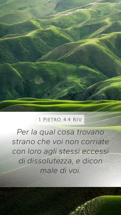 1 Pietro 4:4 RIV Bible Verse Image