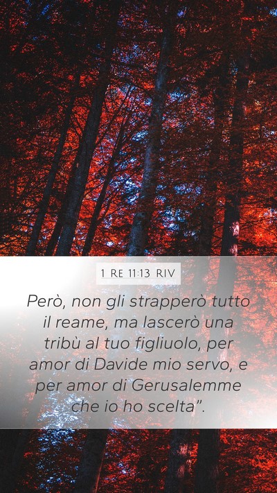 1 Re 11:13 RIV Bible Verse Image