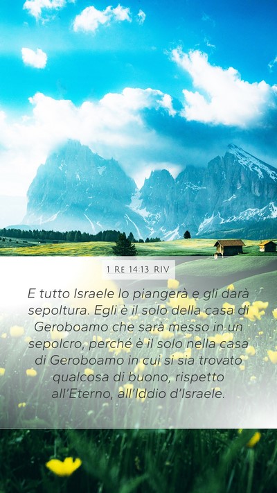 1 Re 14:13 RIV Bible Verse Image