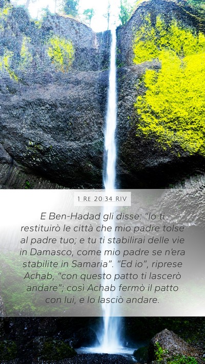 1 Re 20:34 RIV Bible Verse Image