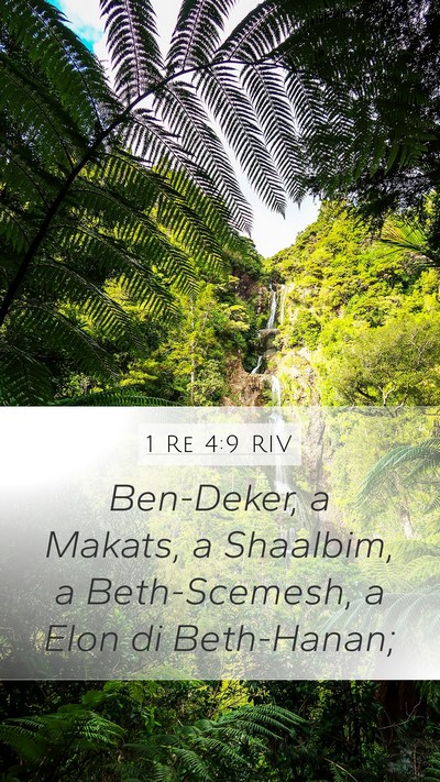 1 Re 4:9 RIV Bible Verse Image