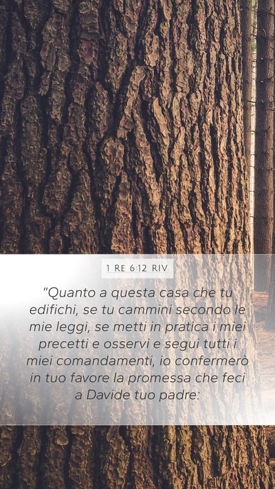 1 Re 6:12 RIV Bible Verse Image