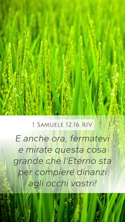 1 Samuele 12:16 RIV Bible Verse Image