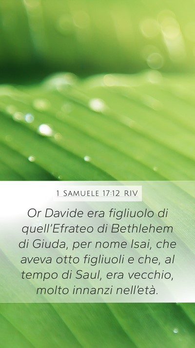 1 Samuele 17:12 RIV Bible Verse Image