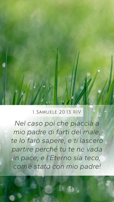 1 Samuele 20:13 RIV Bible Verse Image