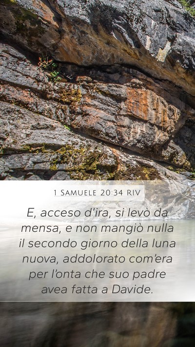 1 Samuele 20:34 RIV Mobile Phone Wallpaper - E, acceso d’ira, si levò da mensa, e non - Mobile Bible Verse Wallpaper