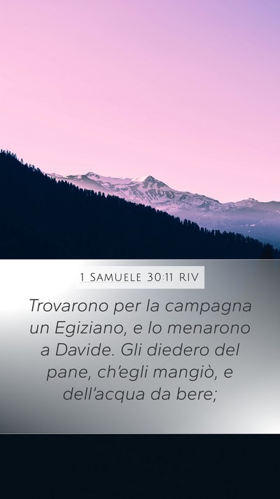1 Samuele 30:11 RIV Bible Verse Image