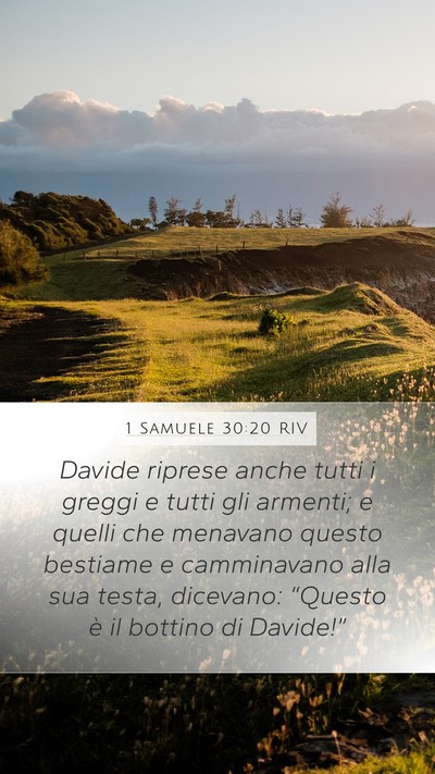 1 Samuele 30:20 RIV Bible Verse Image
